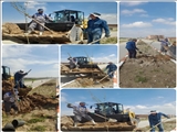 کاشت درخت در بلوار چهارده معصوم و بلوار سردار شهید باکری